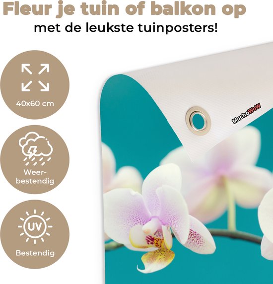 Décoration de jardin Orchidée - Fleurs - Plante - Wit - Violet - 40x60 cm - Poster jardin - Toile jardin - Poster extérieur