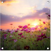 Tuinposter - Tuinschilderij voor buiten - Schuttingdoek - Tuin - Zonsondergang - Bloemen - Roze - Natuur - Groen - Schutting decoratie - Tuinposters - Tuindecoratie - Schuttingposter - 50x50 cm - Tuindoek - Buitenposter