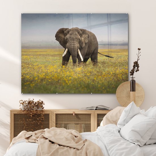 MuchoWow® Peinture sur verre 120x90 cm - Peinture sur verre acrylique - Éléphant - Fleurs - Herbe - Animaux - Nature - Photo sur verre - Peintures