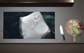 Inductieplaat Beschermer - Onderaanzicht van Rog zwemmend tegen Aquarium - 90x52 cm - 2 mm Dik - Inductie Beschermer van Vinyl