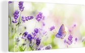 Peintures Lavande - Papillon - Fleurs - 160x80 cm - Décoration murale
