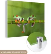Peinture sur Verre - Grenouilles - Branche - Vert - 160x120 cm - Peintures sur Verre Peintures - Photo sur Glas