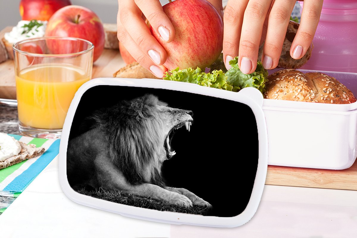 Broodtrommel Wit - Lunchbox - Brooddoos - Leeuw - Zwart - Wit - Dier - 18x12x6 cm - Volwassenen