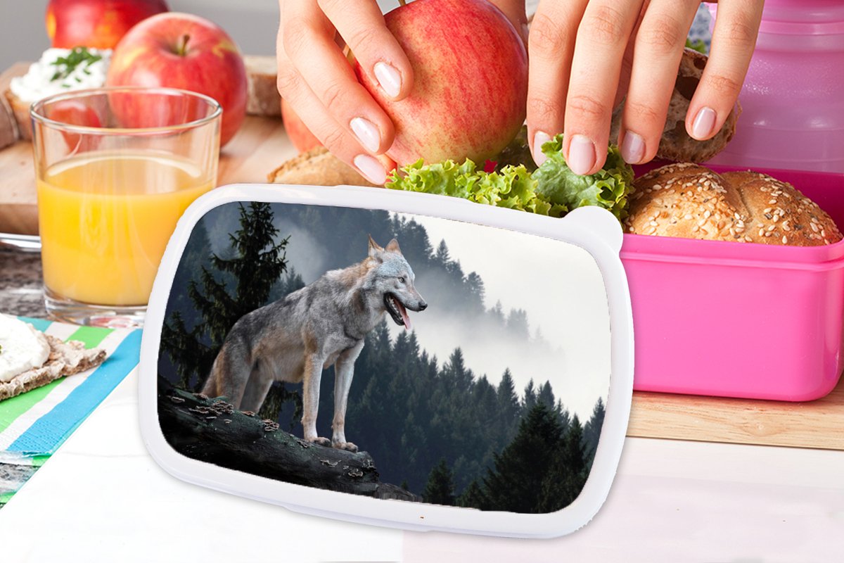 Broodtrommel Roze - Lunchbox - Brooddoos - Wolf - Dier - Bos - 18x12x6 cm - Kinderen - Meisje