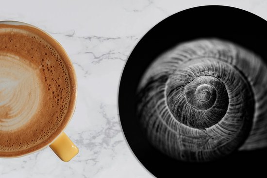 Sous-verres pour verres - Rond - Escargot - Animaux - Zwart - Wit - Coquille d'escargot - 10x10 cm - Sous-verres en verre - 6 pièces