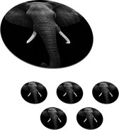 Onderzetters voor glazen - Rond - Olifant - Wilde dieren - Zwart - Wit - Portret - 10x10 cm - Glasonderzetters - 6 stuks