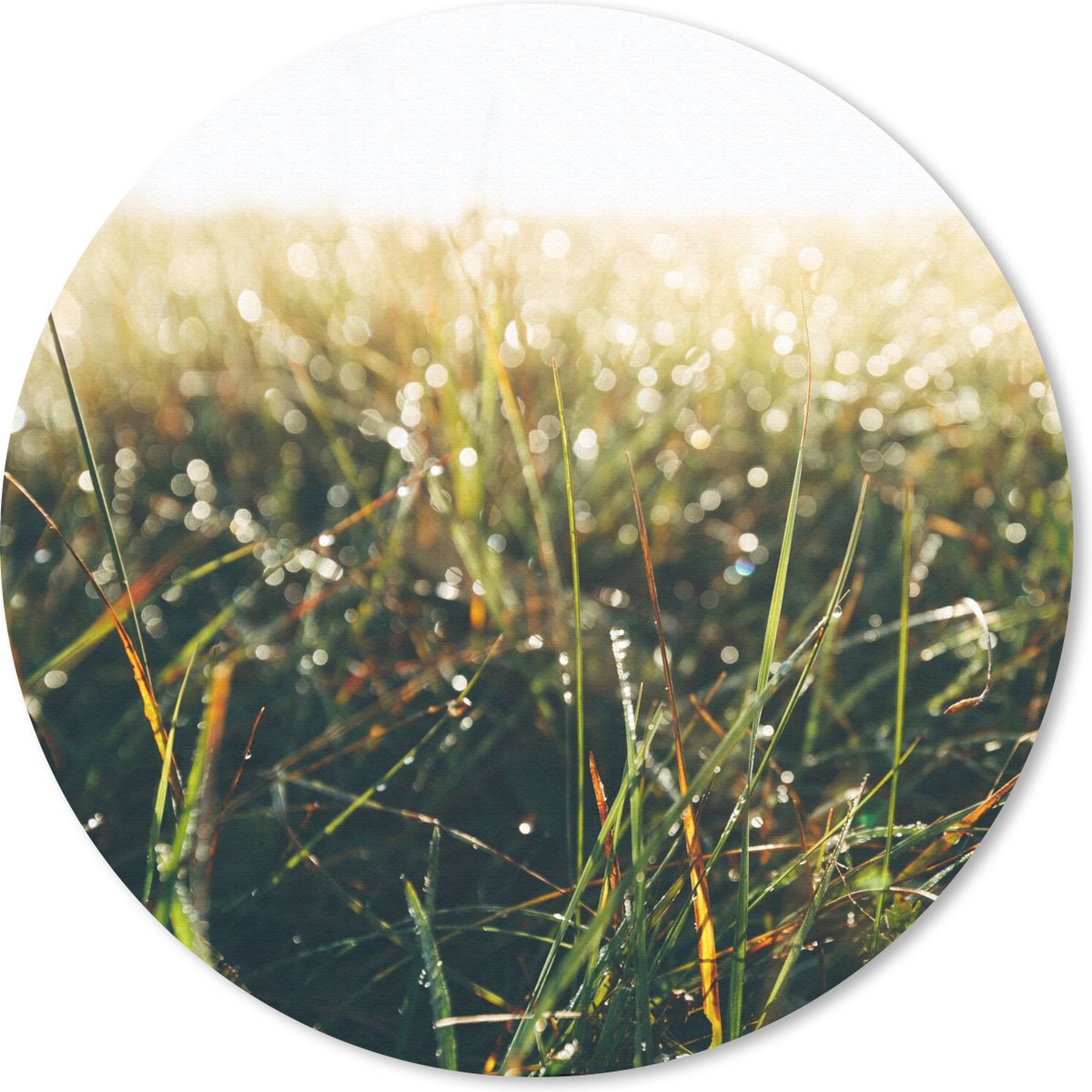Muismat rond 30x30 cm - Mousepad Grasveld - Pampasgras - Gras - Ronde muismatten
