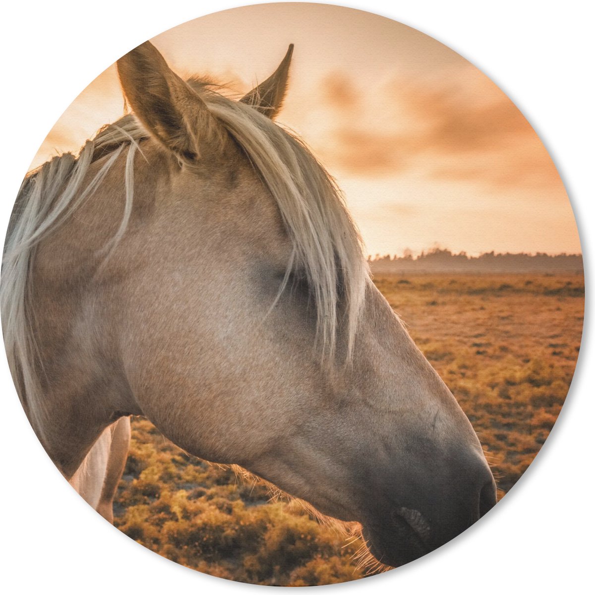 Muismat rond 40x40 cm - Mousepad Paard - Dieren - Portret - Ronde muismatten