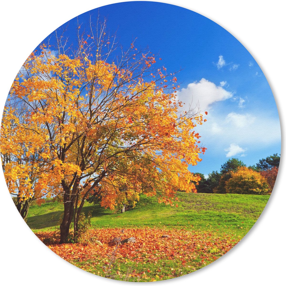 Muismat rond 40x40 cm - Mousepad Boom - Bladeren - Herfst - Seizoenen - Ronde muismatten