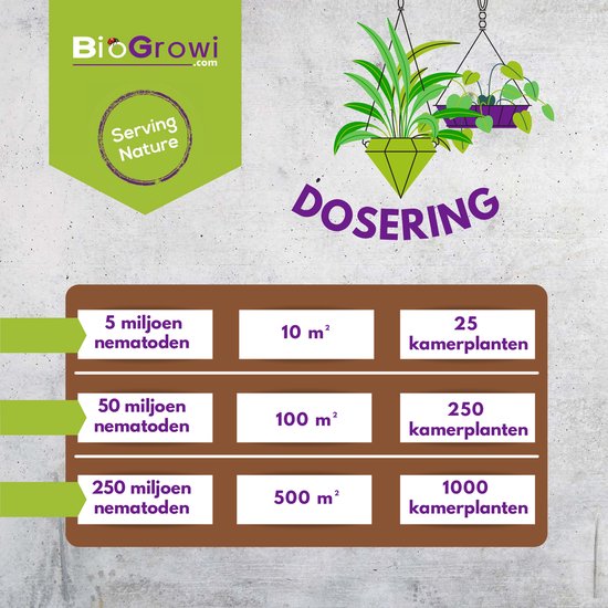 Aaltjes tegen Rouwvliegjes | Stenema 10m² | Rouwvliegen bestrijden