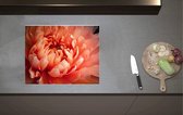 Inductieplaat Beschermer - Close-up van Bloeiende Roze Pioenroos - 60x52 cm - 2 mm Dik - Inductie Beschermer van Vinyl
