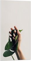 Acrylglas - Blad - Tropisch - Hand - Aanraking - 50x100 cm Foto op Acrylglas (Met Ophangsysteem)