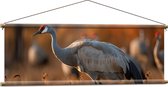 Textielposter - Kraan vogel loopt door natuur gebied heen met zijn groep op de achtergrond - 120x40 cm Foto op Textiel