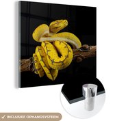 MuchoWow® Glasschilderij 90x90 cm - Schilderij acrylglas - Slang - Tak - Geel - Foto op glas - Schilderijen