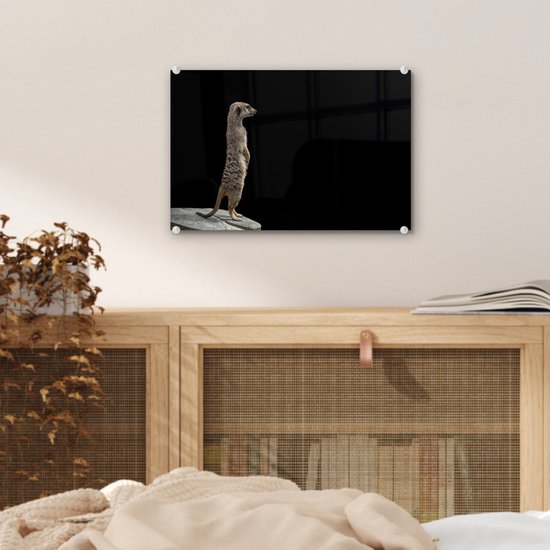 MuchoWow® Glasschilderij 30x20 cm - Schilderij acrylglas - Stokstaartje - Wilde dieren - Zwart - Foto op glas - Schilderijen