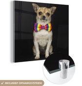 MuchoWow® Glasschilderij 90x90 cm - Schilderij acrylglas - Hond - Strik - Zwart - Foto op glas - Schilderijen