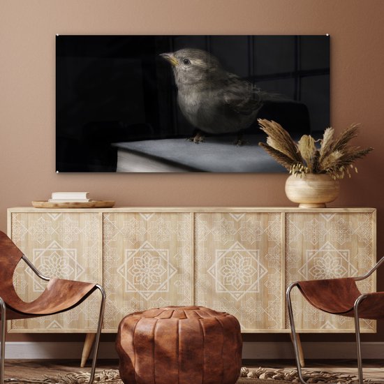 MuchoWow® Glasschilderij 120x60 cm - Schilderij acrylglas - Vogel - Boeken - Portret - Foto op glas - Schilderijen