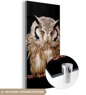 MuchoWow® Glasschilderij 80x160 cm - Schilderij acrylglas - Uil - Vogel - Zwart - Foto op glas - Schilderijen