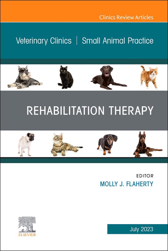 The Clinics: Veterinary Medicine Volume 53-4 - Rehabilitatio ... - cover