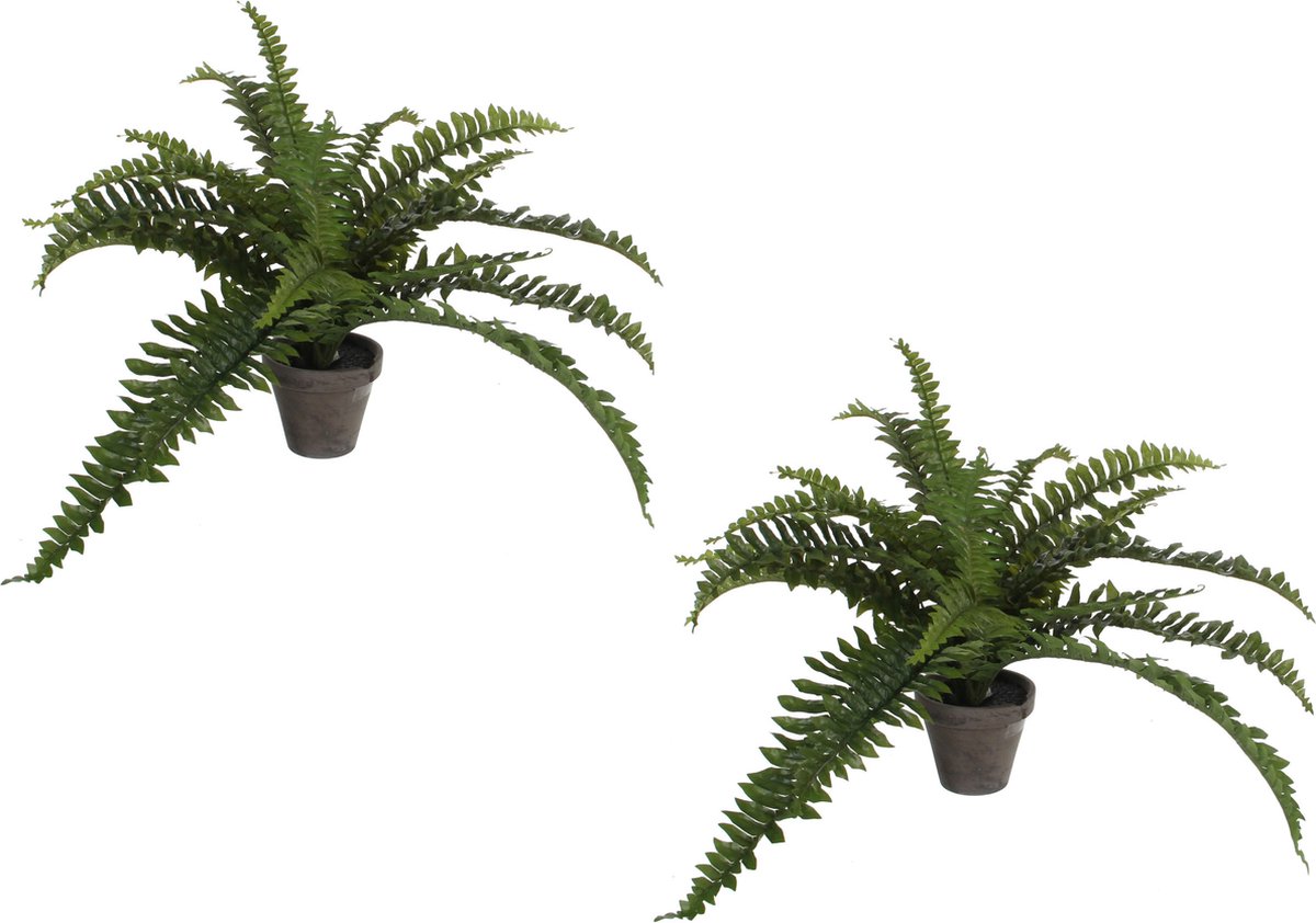 Mica Decorations Boston Varen kunstplant/kamerplant - 2x stuks - groen - in pot - H35 cm x D45 cm