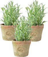 3x stuks kunstplanten rozemarijn kruiden in terracotta pot 16 cm - Kunstplanten/nepplanten