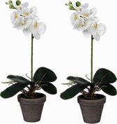 2x stuks phalaenopsis Orchidee kunstplanten wit in pot H48 x D13 cm cm - Kunstplanten/nepplanten met bloemen