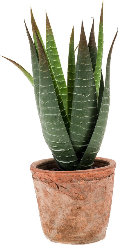 Emerald Kunstplant Aloe Vera - groen - in oude terracotta pot - 23 cm