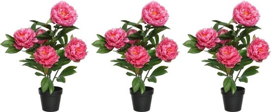 6x stuks roze Paeonia/pioenroos rozenstruik kunstplanten 57 cm in zwarte plastic pot - Kunstplanten/nepplanten - Pioenrozen