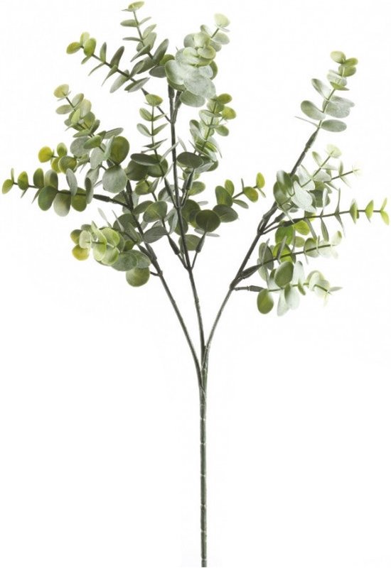Kunstplant Eucalyptus takken 65 cm grijs/groen - Groene namaak planten takken