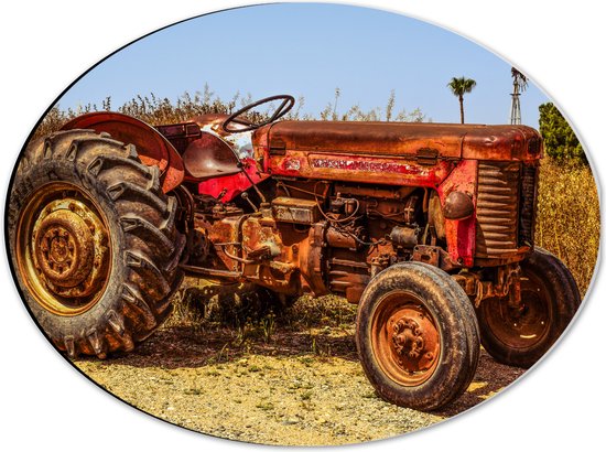 Dibond Ovaal - Oude Verroeste Rode Tractor in het Weiland - 40x30 cm Foto op Ovaal (Met Ophangsysteem)