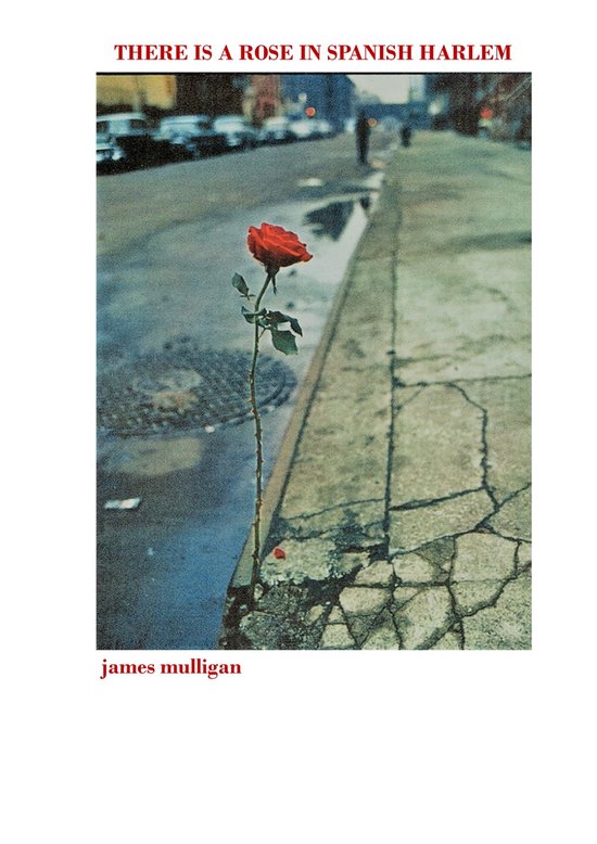 There is a Rose in Spanish Harlem (ebook), James Mulligan