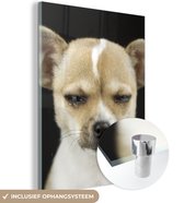 MuchoWow® Glasschilderij 60x80 cm - Schilderij acrylglas - Hond - Huisdieren - Portret - Foto op glas - Schilderijen