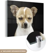 MuchoWow® Glasschilderij 80x60 cm - Schilderij acrylglas - Hond - Huisdieren - Portret - Foto op glas - Schilderijen
