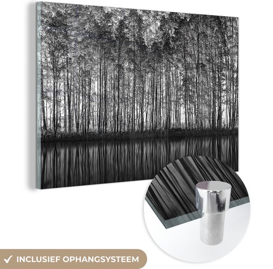 Glasschilderij - Natuur - Zwart - Wit - Bomen - Schilderij glas - 60x40 cm - Wanddecoratie - Foto op glas