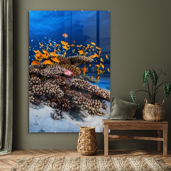 Peinture sur verre - Corail - Poissons - Animaux aquatiques - Oranje - Photo sur verre - Décoration murale - 100x150 cm - Peinture sur verre