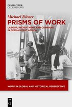 Work in Global and Historical Perspective21- Prisms of Work