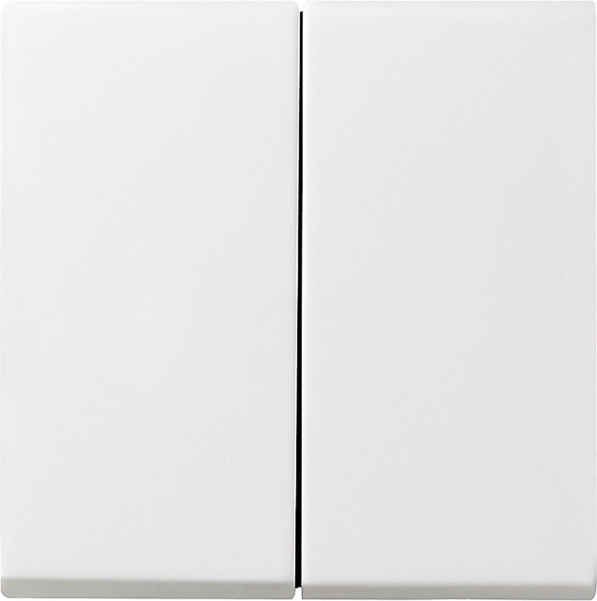 Gira Systeem 55 Besturingselement/Centrale plaat Schakelmateriaal - 029527 - E29DU