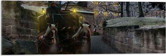 Acrylglas - Pad - Persoon - Bomen - Huis - Dier - Paarden - Lampen - 90x30 cm Foto op Acrylglas (Wanddecoratie op Acrylaat)