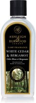 Ashleigh & Burwood - White Cedar & Bergamot Geurlamp olie L