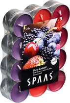 Spaas Geurkaarsen Berry Cocktail - 24 stuks - 4,5 branduren - bosvruchten- theelichtjes