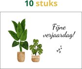 Wenskaarten set - wenskaarten verjaardag - fijne verjaardag - wenskaarten bloemen - 10 kaarten - A6