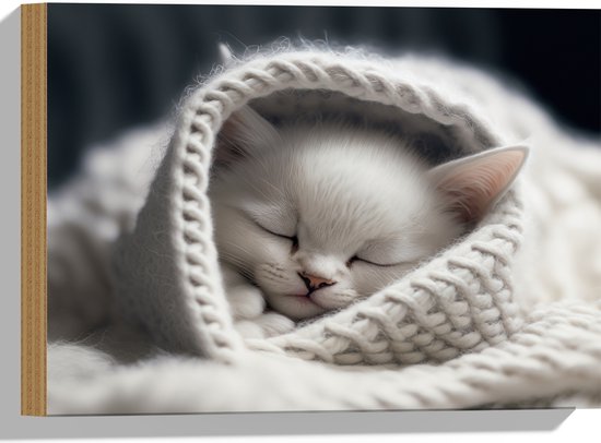 Hout - Witte Kitten in Gebreide Sjaal - 40x30 cm - 9 mm dik - Foto op Hout (Met Ophangsysteem)
