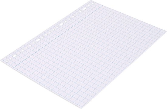 5x100 SOHO Ringband Interieur - schrijfpapier - A4 ruitjespapier - 23