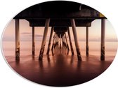 PVC Schuimplaat Ovaal - Pier - Strand - Zee - Zand - 56x42 cm Foto op Ovaal (Met Ophangsysteem)