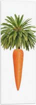 Vlag - Wortel aan Palmboom Bladeren tegen Witte Achtergrond - 20x60 cm Foto op Polyester Vlag