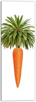 Dibond - Wortel aan Palmboom Bladeren tegen Witte Achtergrond - 40x120 cm Foto op Aluminium (Met Ophangsysteem)