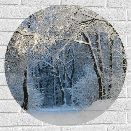 Muursticker Cirkel - Sneeuw - Bomen - Bossen - 70x70 cm Foto op Muursticker