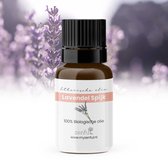 Spijklavendel olie - Bio & Puur - Lavendel - Spijk - 10 ml