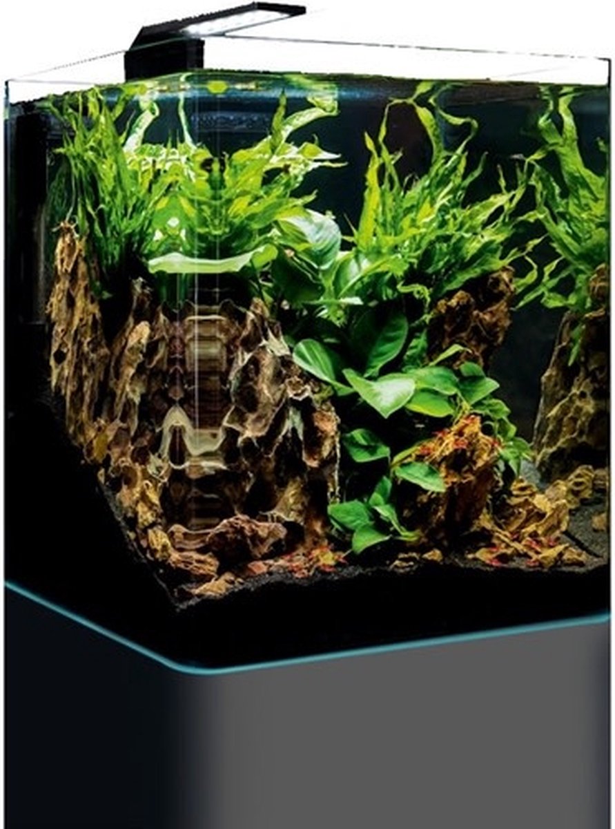 Dennerle Nano Cube Complete 30 L met filter en led thumbnail 3