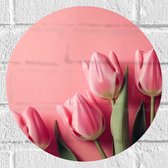 Muursticker Cirkel - Roze Tulpen met Roze Achtergrond - 30x30 cm Foto op Muursticker